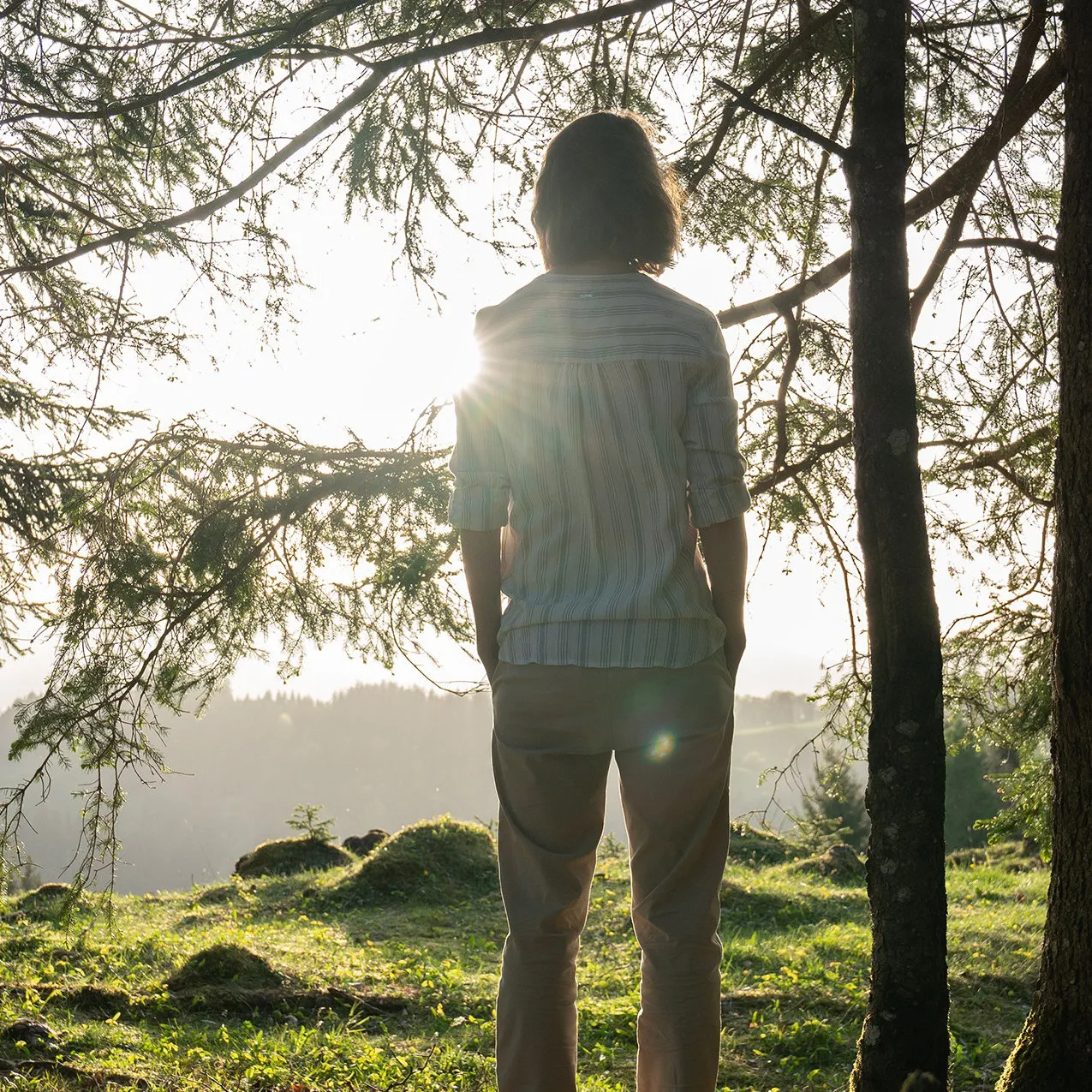 Bild von Martina Anna Linortner